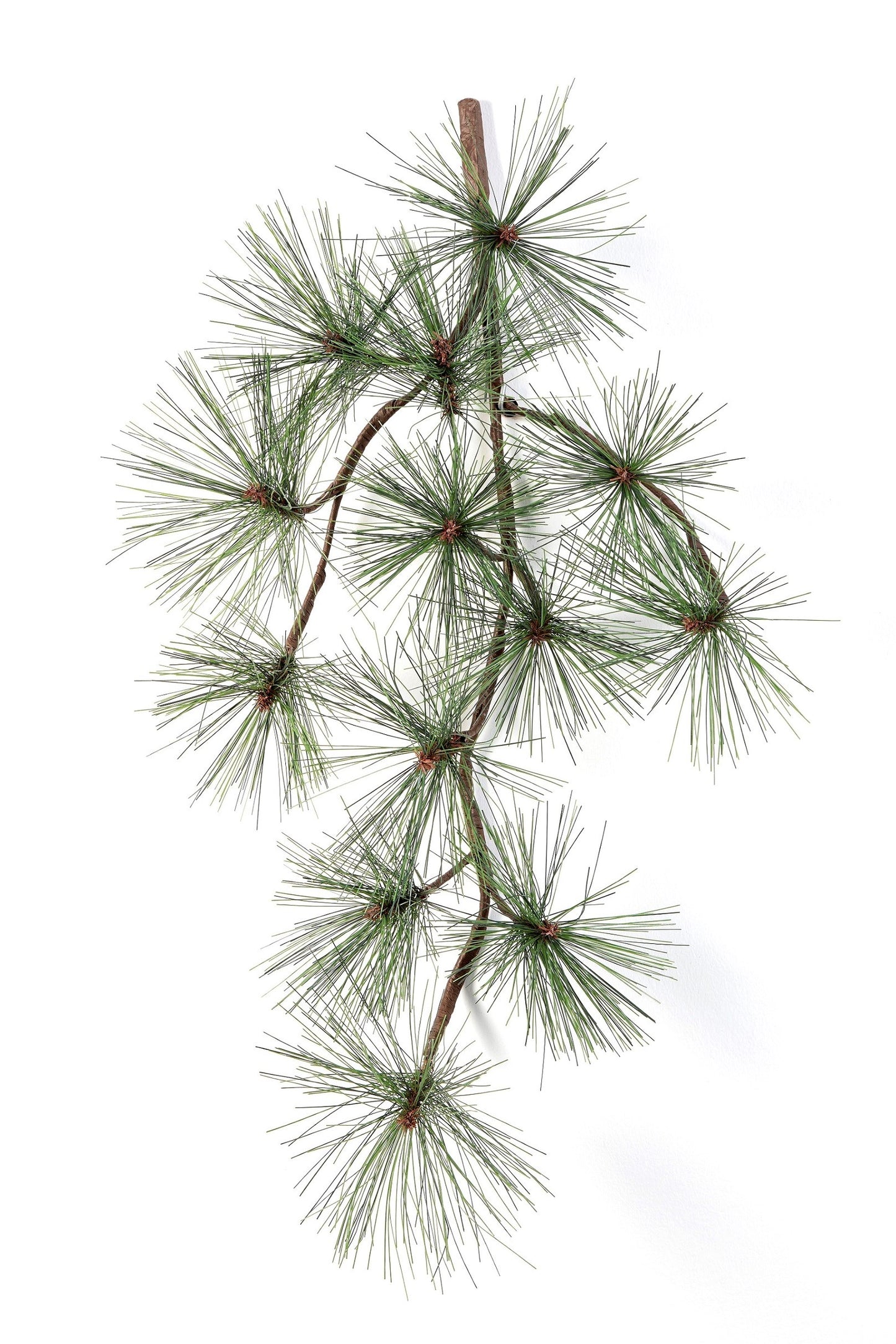 Pine Spray x 13 1579N