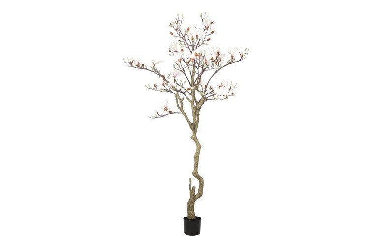 Kunstpflanze Magnolie L weiß-L160B160H210CM