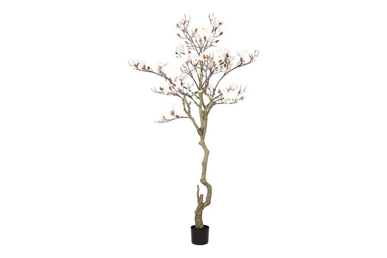 Art plant Magnolia L white-L160B160H210CM
