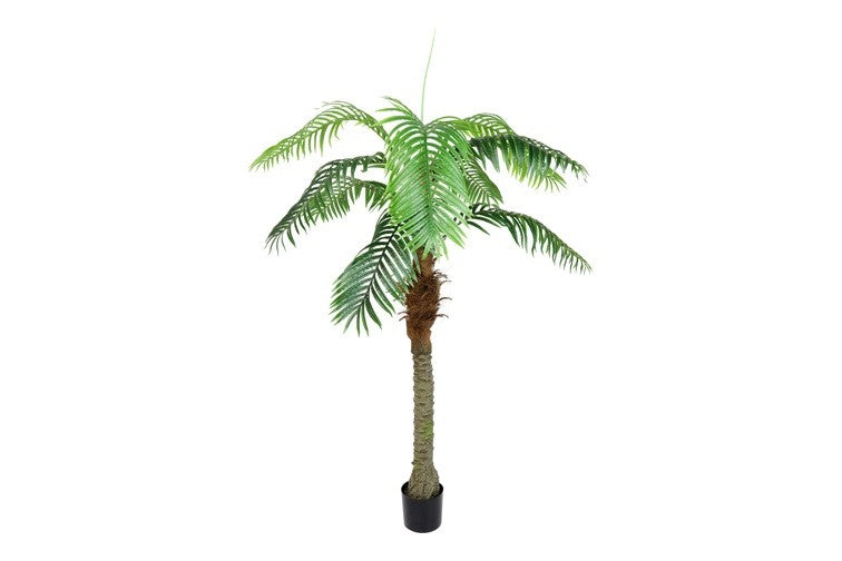 Kunstpflanze Cocos nucifera S grün-L100B100H180CM
