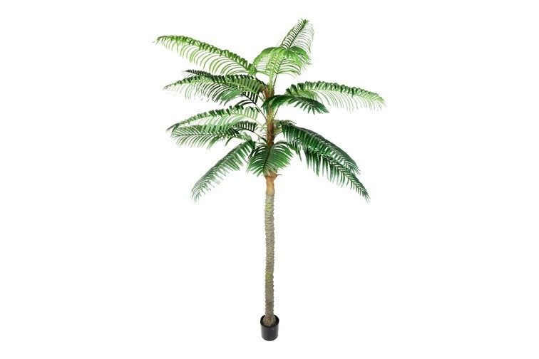 Kunstpflanze Cocos nucifera XXL grün-L270B270H350CM – Ranadeco
