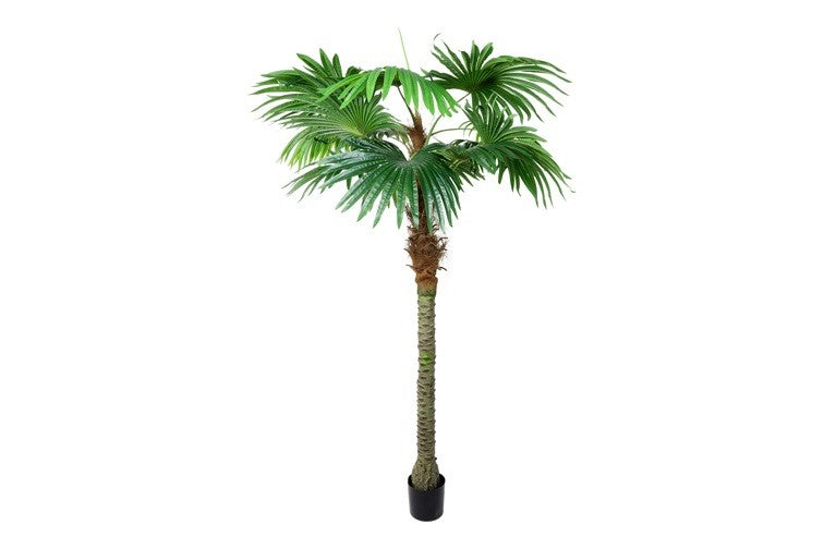 Kunstplant Trachycarpus M groen-L140B140H220CM