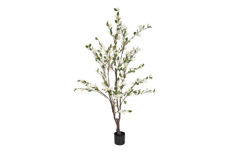 Kunstplant Magnolia L wit-L85B65H170CM