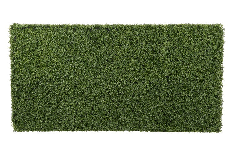 Art plant Olive Olea europaea XXL green-L100B86H220CM