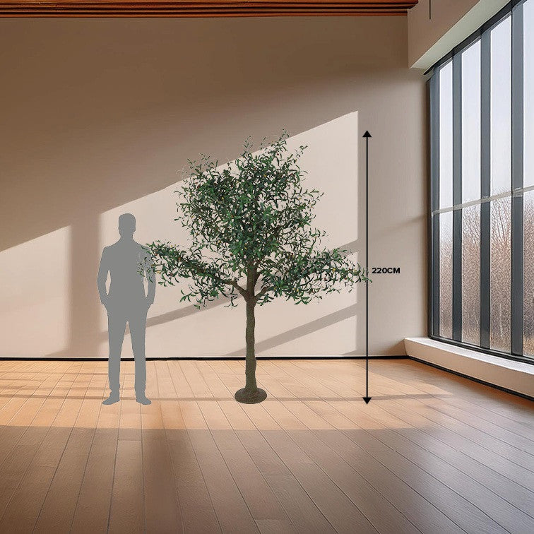 Art plant Olive Olea europaea XXL green-L100B86H220CM