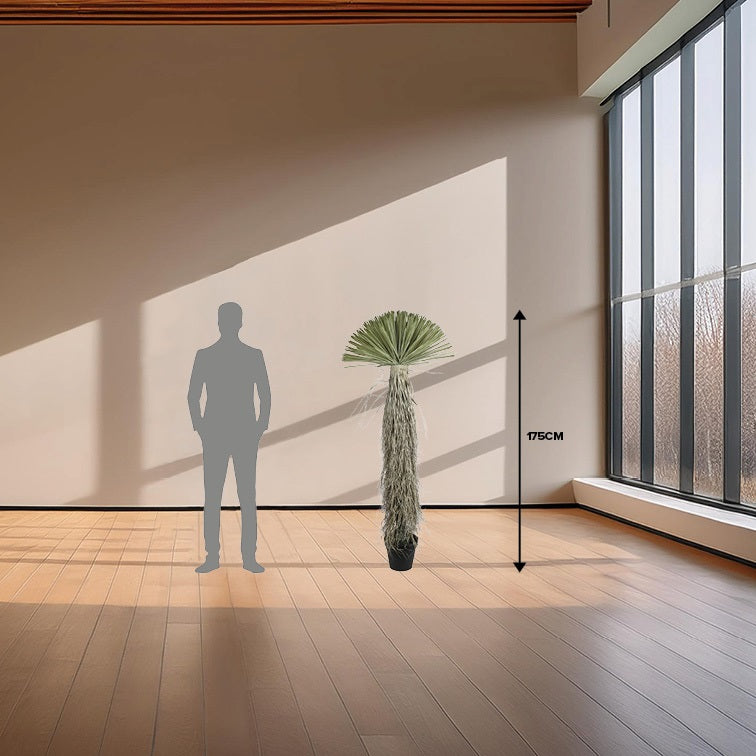 Art plant Dracena soft touch green-L70B70H175CM