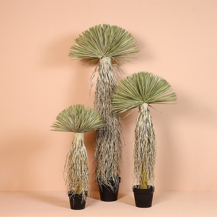 Art plant Dracena soft touch green-L70B70H175CM
