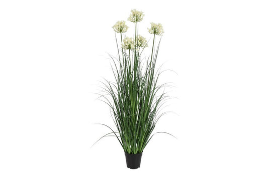 Kunstplant Agapanthus 5 M wit-L10B10H120CM