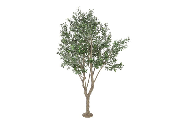 Art plant Olive Olea green-L100B100H260CM