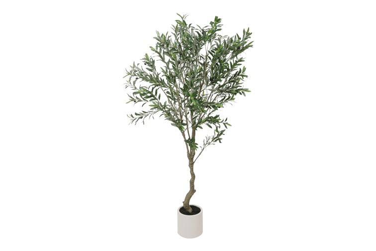 Art Plant on trunk Olive Olea L green-L80B80H200CM
