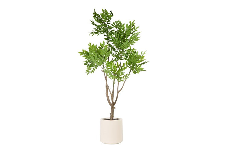 Art Plant Rhus L green-L105B90H185CM