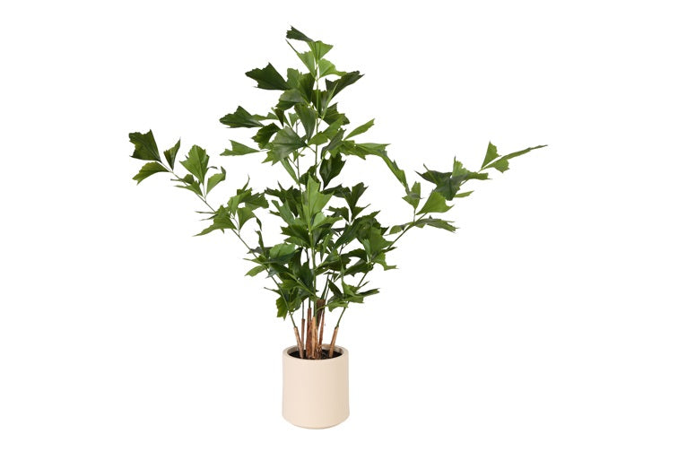 Art Plant Caryota M green-L95B95H150CM