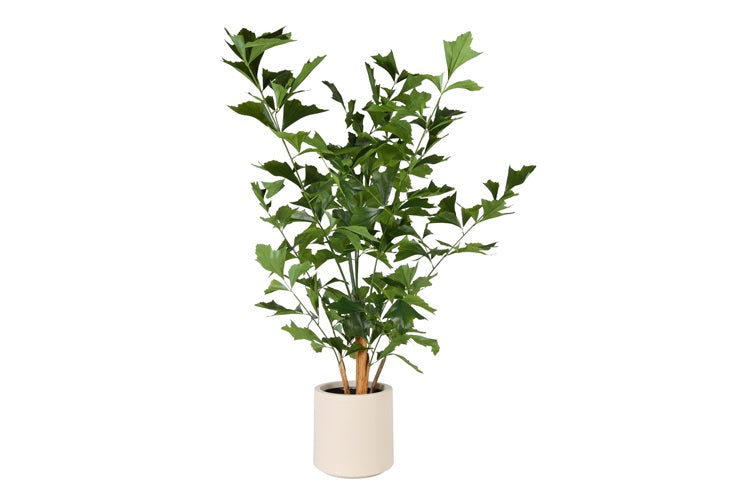 Art Plant Caryota L green-L120B120H180CM