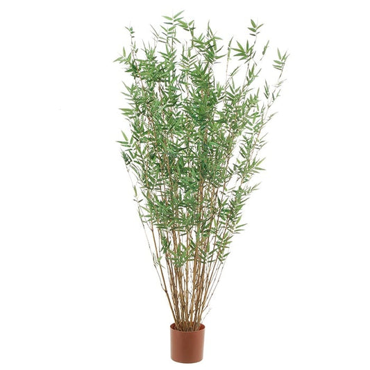 Bamboo 2931224