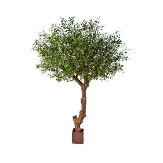 9' NAT. OLIJF BOOM POLY TRUNK