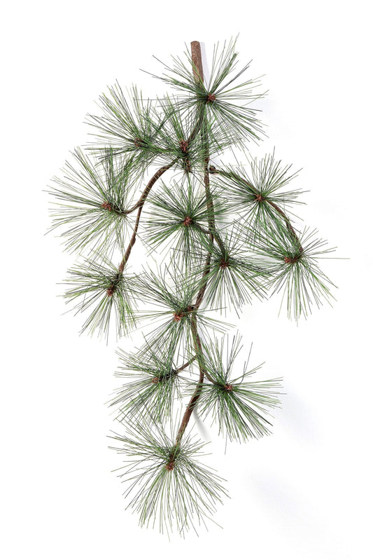 Pine Spray x 13 1579N