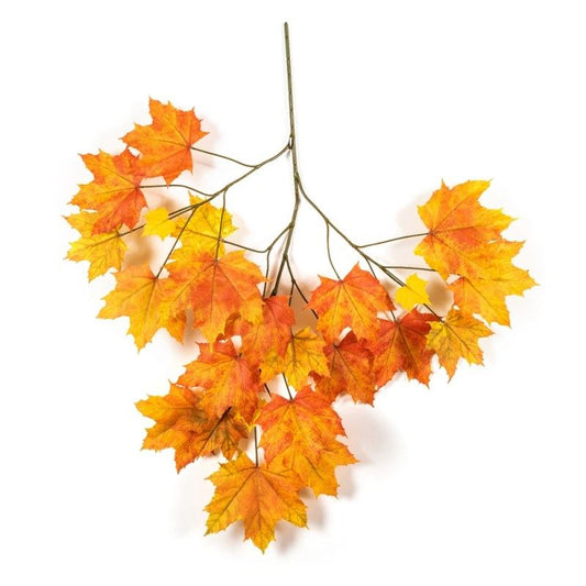 Autumn Sugar Maple - Flame Retardant