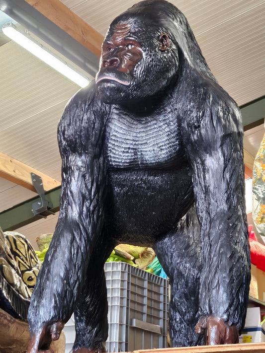 Gorilla XL