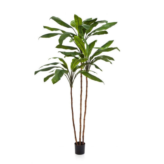 Fructicosa Kunstboom