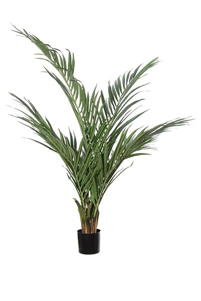 Palm tree 42080 125