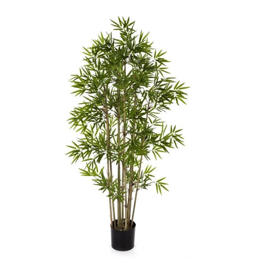 5' JAPANSE BAMBOE