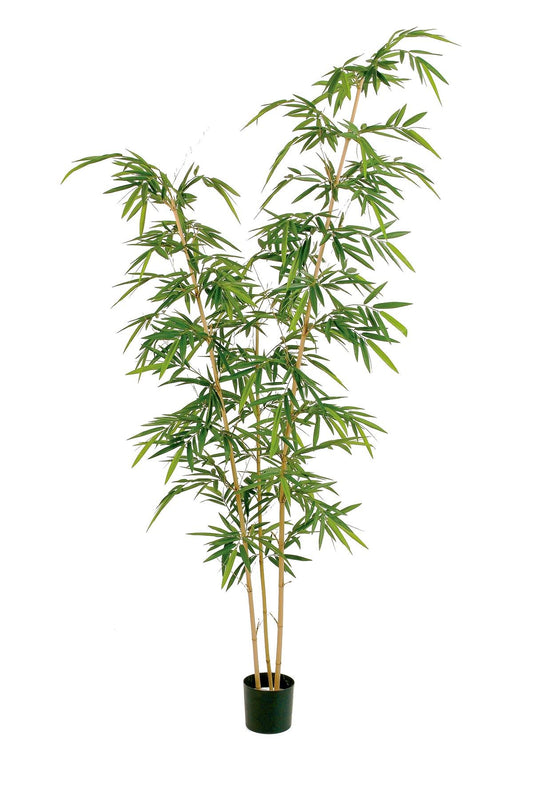 9' NIEUWE ELEGANTE BAMBOE BOOM