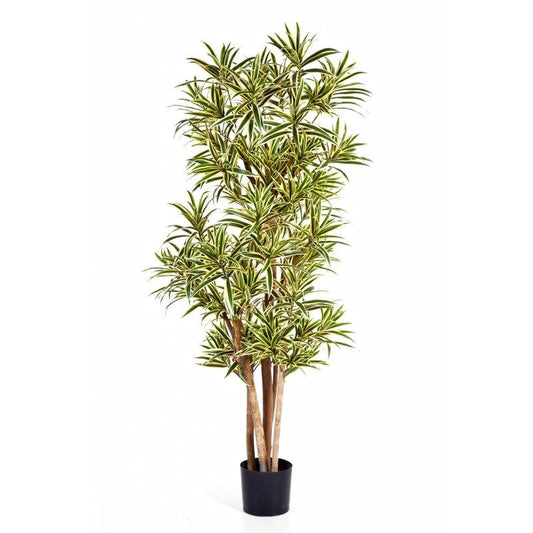 Dracaena Reflexa kunstboom - Brandvertragend