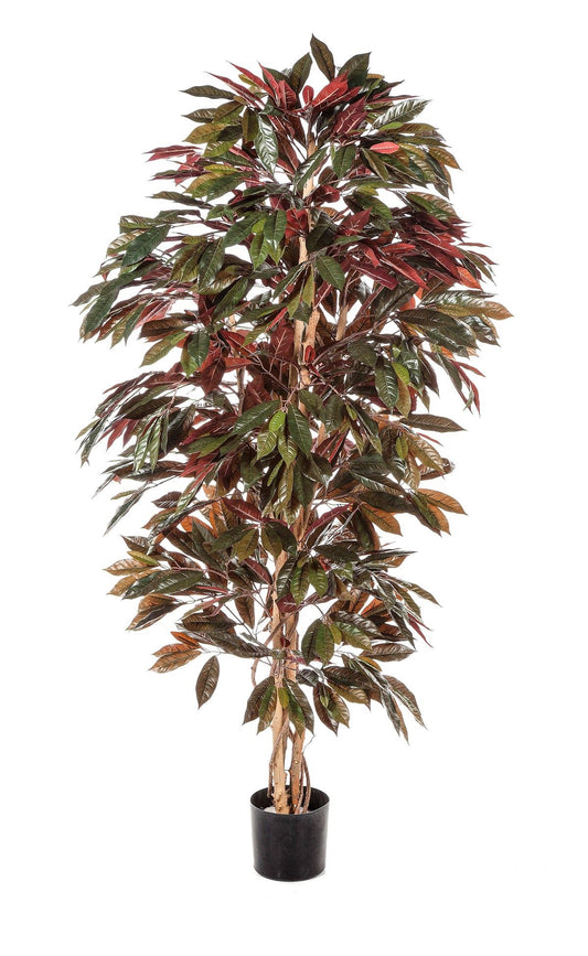 6' CAPENSIA STRUIK BOOM