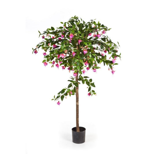 5' FUCHSIA PARAPLU BOOM