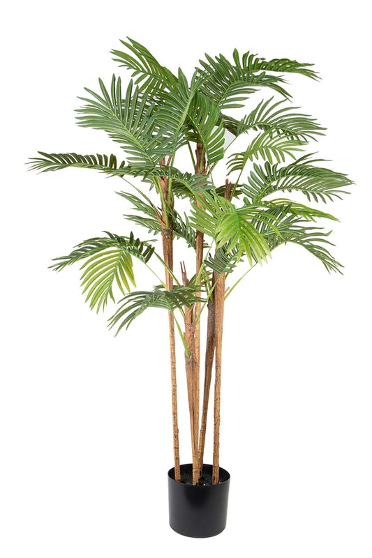 Areca 07738 150