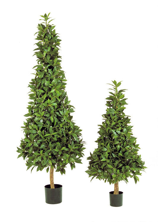 Laurel Pyramide op houten stam