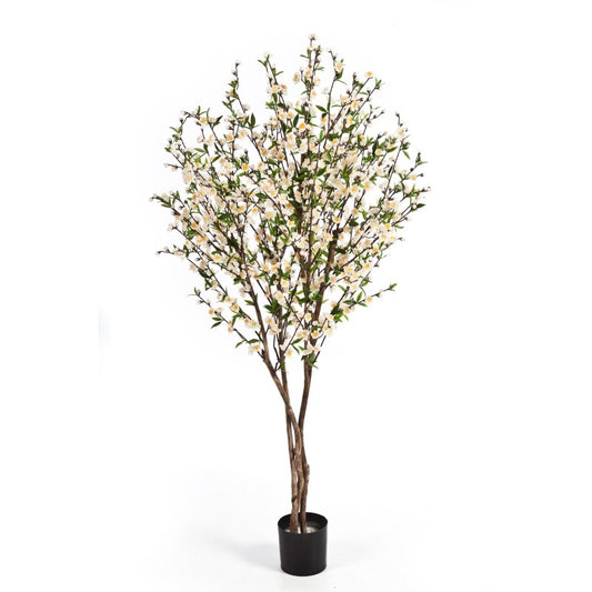 KERSENBLOESEM 170 CM CRÈME