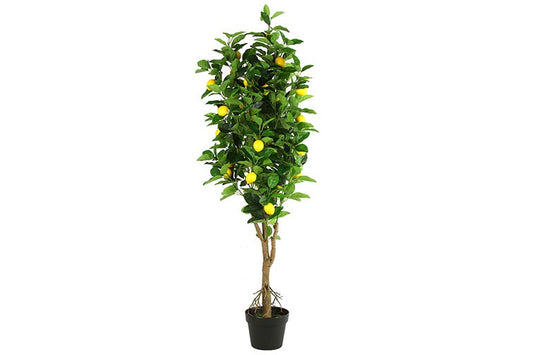 Kunstplant Citrus limon L geel-L66B66H130CM