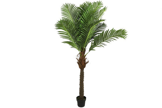 Art plant Areca green-L40B40H200CM