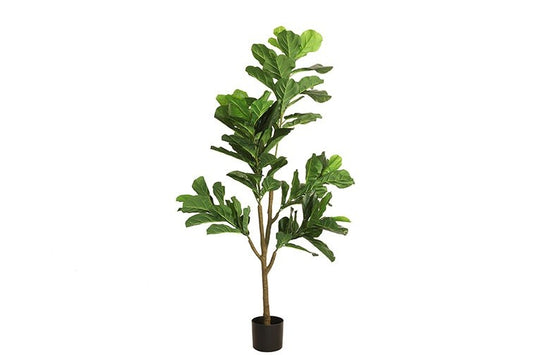 Kunstplant Ficus lyrata L groen-L48B60H174CM