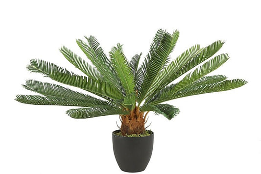 Kunstplant Cycas revoluta S groen-L65B65H72CM