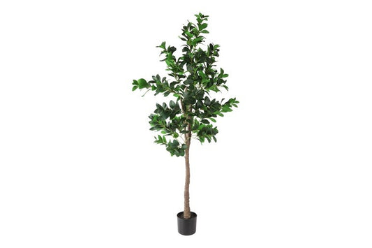 Kunstplant Cleyera japonica L groen-L110B110H180CM