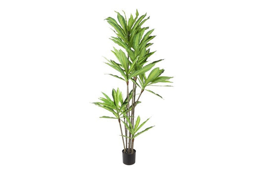 Kunstplant Dracaena L groen-L140B140H180CM