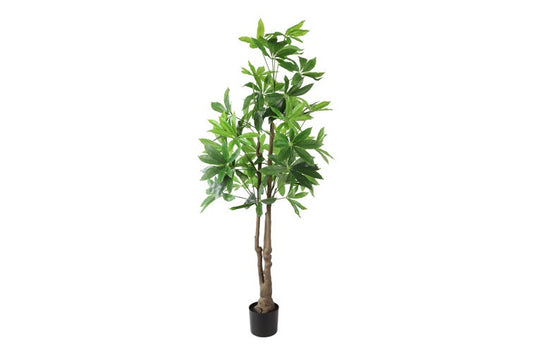 Kunstplant Pachira aquatica L groen-L80B80H160CM