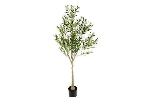 Kunstplant Olijf Olea XXL groen-L140B140H180CM