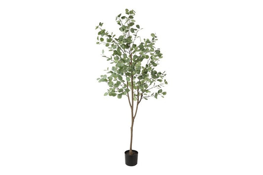 Kunstplant Eucalyptus XL groen-L140B140H180CM