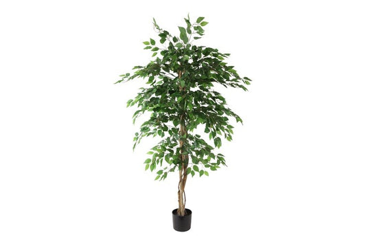 Kunstplant Ficus benjamina M groen-L140B140H180CM