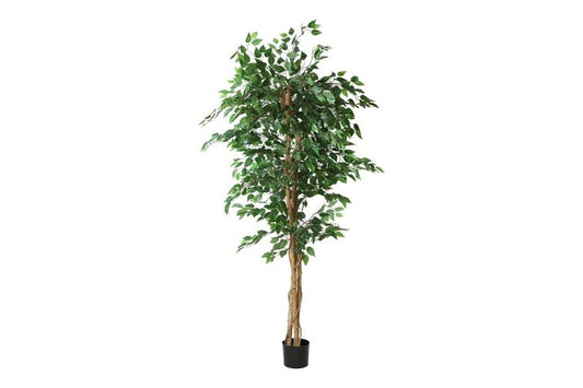 Kunstplant Ficus benjamina L groen-L160B160H210CM