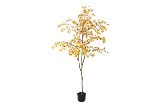 Kunstpflanze Acer L gelb-L140B140H180CM