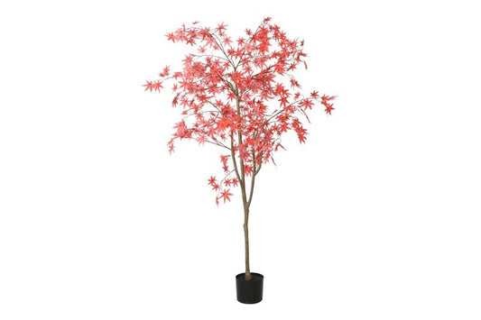 Kunstpflanze Acer L rot-L140B140H180CM