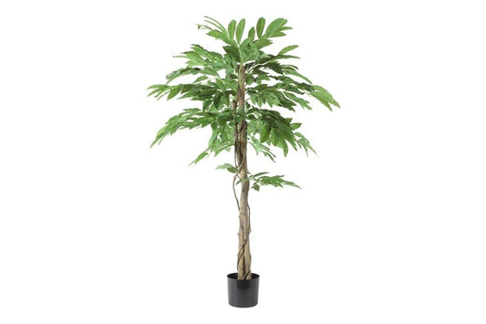 Kunstplant Mangifera indica S groen-L110B110H150CM