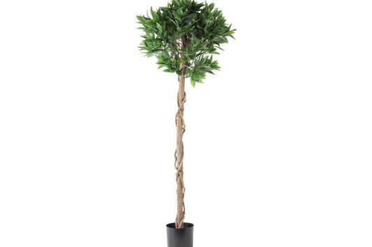 Kunstplant Laurus L groen-L110B110H150CM