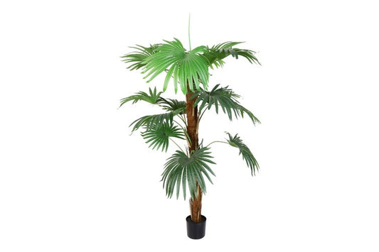 Kunstplant Trachycarpus wagnerians L groen-L80B80H200CM