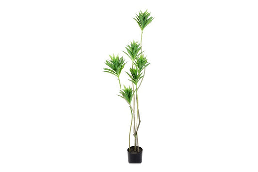 Kunstpflanze Dracaena S grün-L50B50H140CM