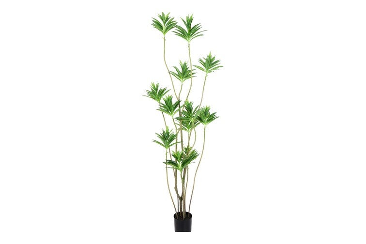 Künstliche Pflanze Dracaena L grün-L60B60H190CM